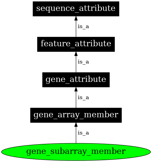 Graph image for SO:0005849