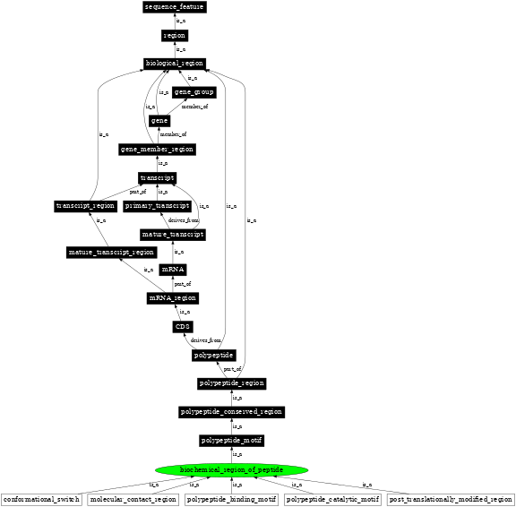 Graph image for SO:0100001