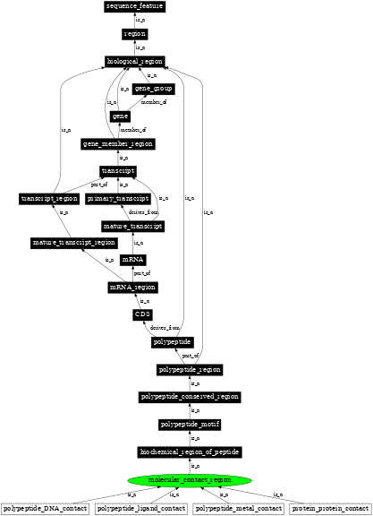 Graph image for SO:0100002