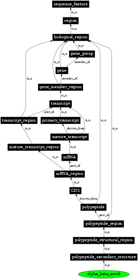 Graph image for SO:0100008