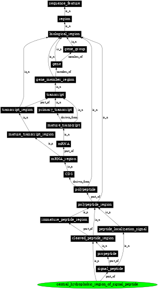 Graph image for SO:0100016