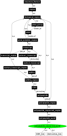 Graph image for SO:0100017