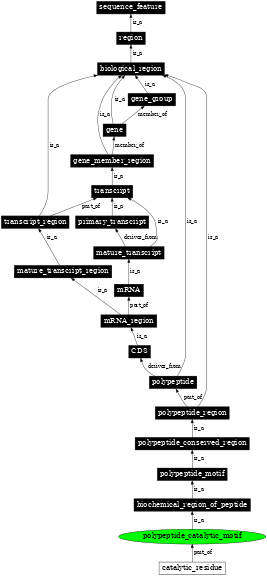 Graph image for SO:0100019