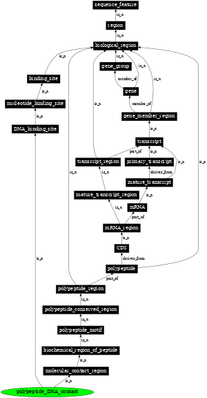 Graph image for SO:0100020