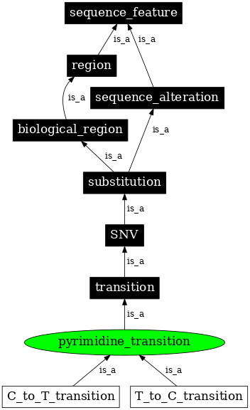 Graph image for SO:1000010