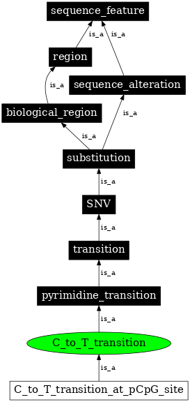 Graph image for SO:1000011