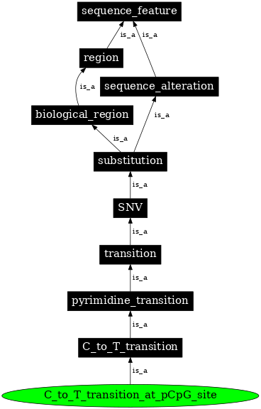 Graph image for SO:1000012