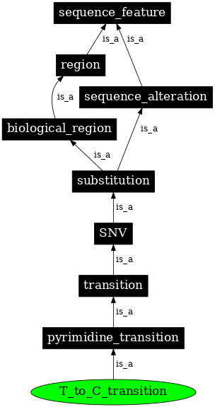 Graph image for SO:1000013