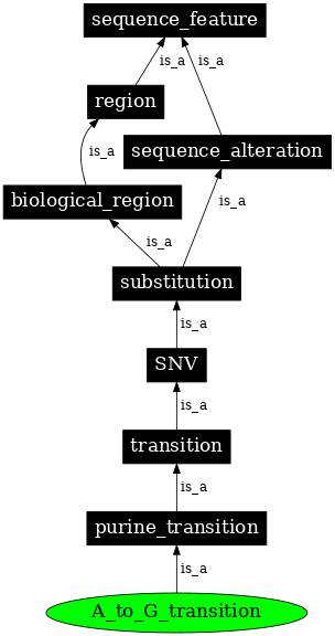 Graph image for SO:1000015