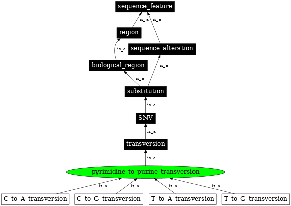 Graph image for SO:1000018