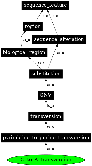 Graph image for SO:1000019