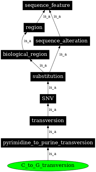 Graph image for SO:1000020