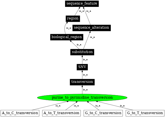 Graph image for SO:1000023