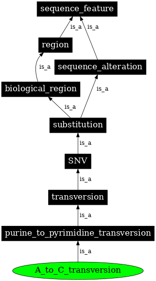 Graph image for SO:1000024