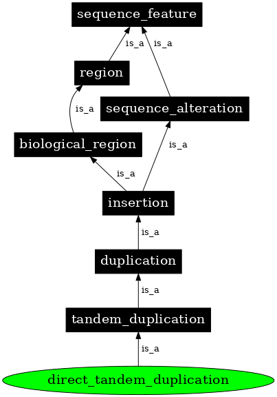 Graph image for SO:1000039