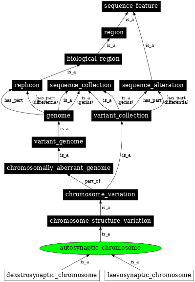 Graph image for SO:1000136