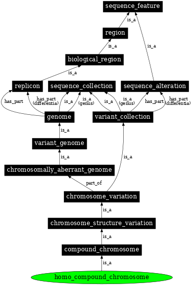 Graph image for SO:1000138