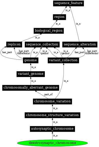 Graph image for SO:1000142