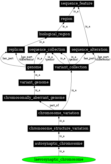 Graph image for SO:1000143