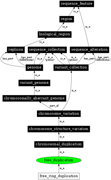 Graph image for SO:1000144