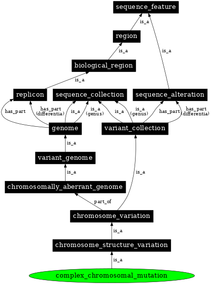 Graph image for SO:1000146