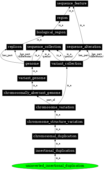 Graph image for SO:1000152