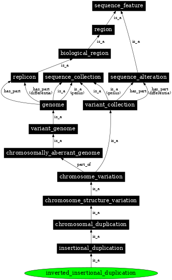 Graph image for SO:1000153