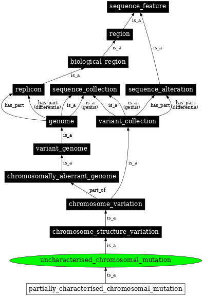 Graph image for SO:1000170