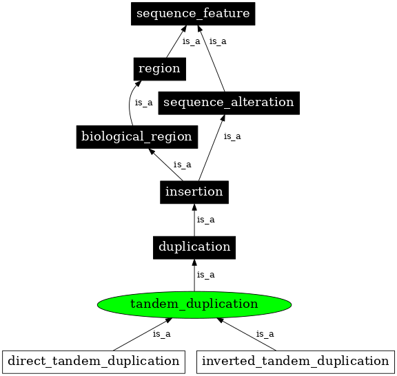 Graph image for SO:1000173