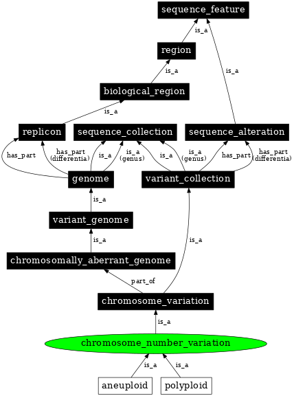 Graph image for SO:1000182