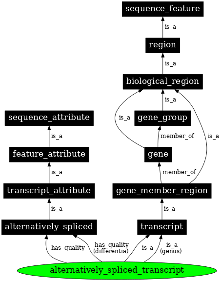 Graph image for SO:1001187