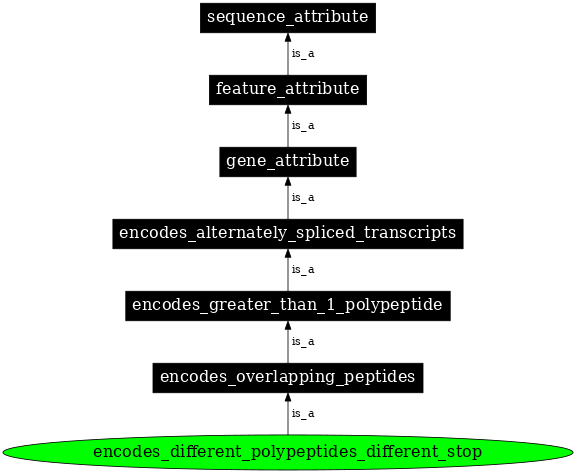 Graph image for SO:1001190