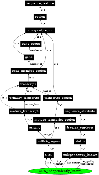 Graph image for SO:1001246