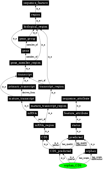 Graph image for SO:1001247