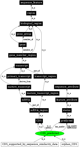 Graph image for SO:1001254