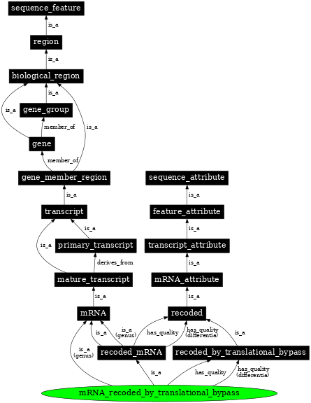 Graph image for SO:1001264