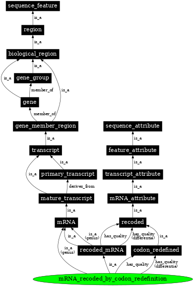 Graph image for SO:1001265