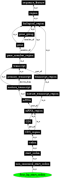 Graph image for SO:1001269