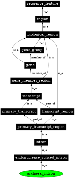 Graph image for SO:1001271