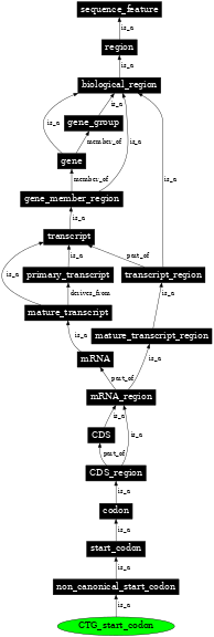 Graph image for SO:1001273