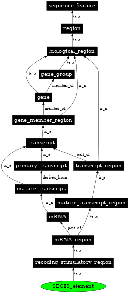 Graph image for SO:1001274