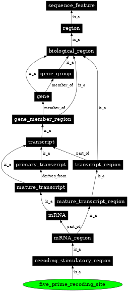 Graph image for SO:1001280