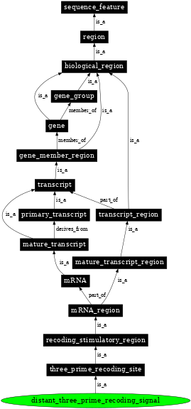 Graph image for SO:1001287