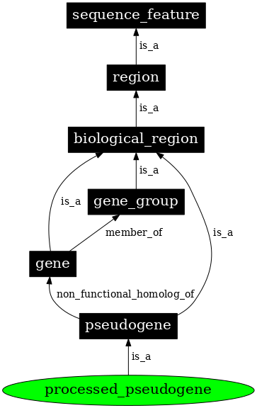 Graph image for SO:0000043