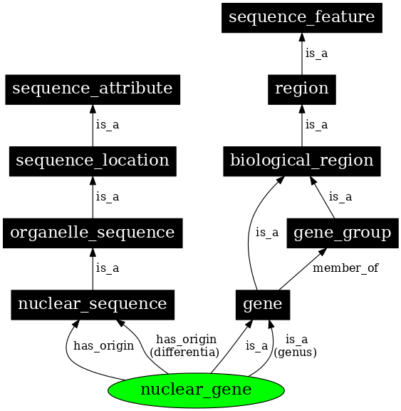 Graph image for SO:0000087