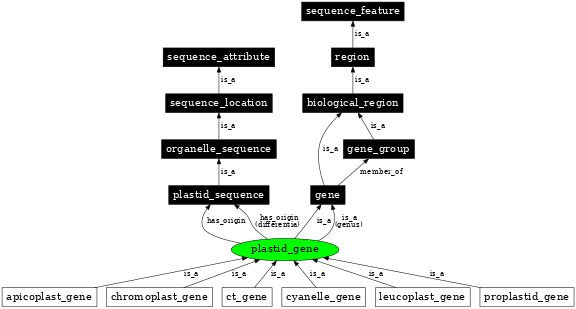 Graph image for SO:0000090