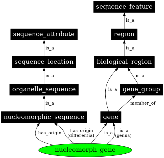 Graph image for SO:0000097