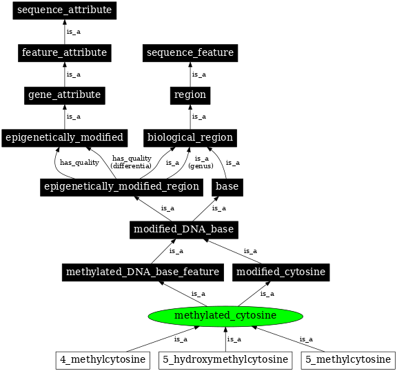 Graph image for SO:0000114