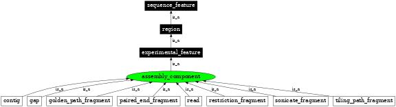 Graph image for SO:0000143
