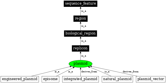 Graph image for SO:0000155
